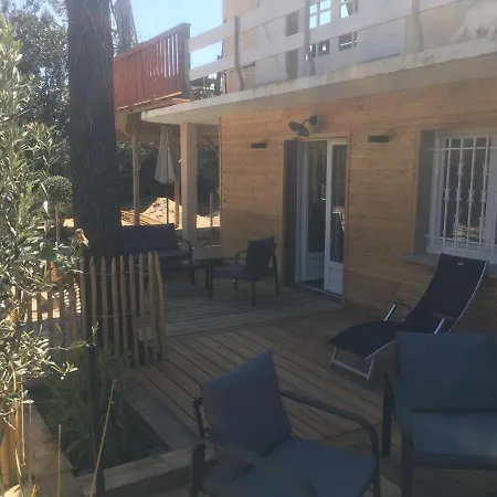 Deux Pieces Ou Sud A 200m *